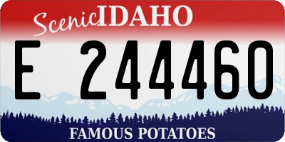 ID license plate E244460
