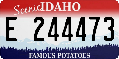 ID license plate E244473