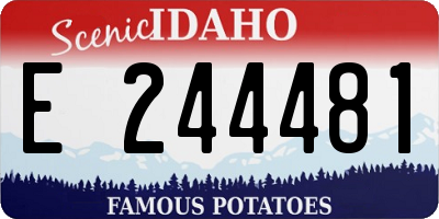 ID license plate E244481