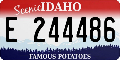 ID license plate E244486
