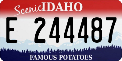 ID license plate E244487