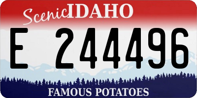ID license plate E244496