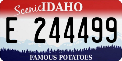 ID license plate E244499