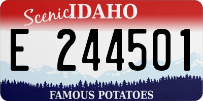 ID license plate E244501