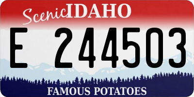 ID license plate E244503