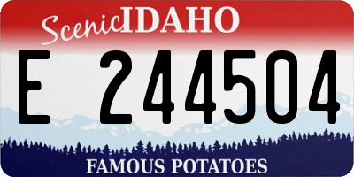 ID license plate E244504