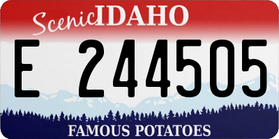 ID license plate E244505