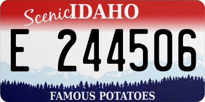 ID license plate E244506