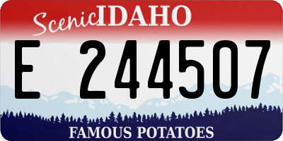 ID license plate E244507