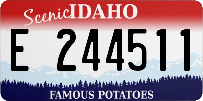 ID license plate E244511