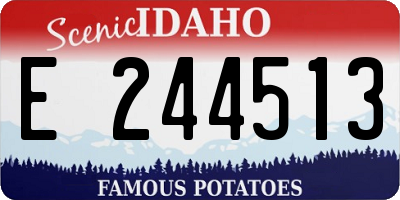 ID license plate E244513