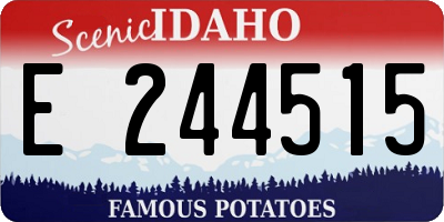 ID license plate E244515