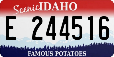 ID license plate E244516