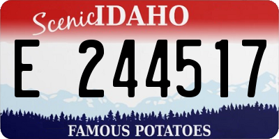 ID license plate E244517