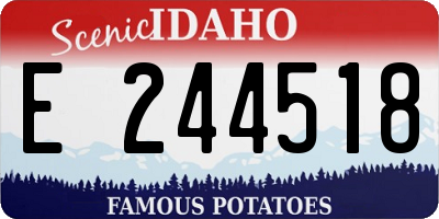 ID license plate E244518