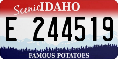 ID license plate E244519