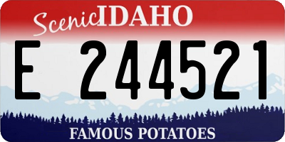 ID license plate E244521