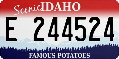 ID license plate E244524