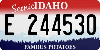 ID license plate E244530