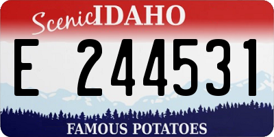 ID license plate E244531