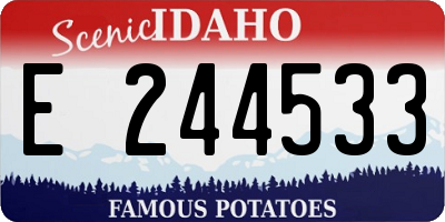 ID license plate E244533