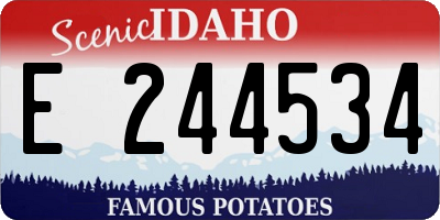 ID license plate E244534