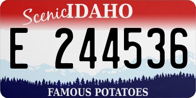 ID license plate E244536