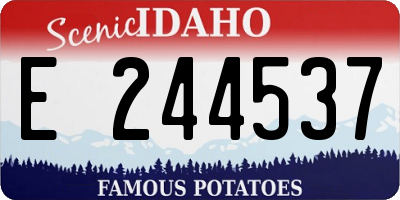 ID license plate E244537