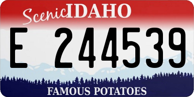 ID license plate E244539