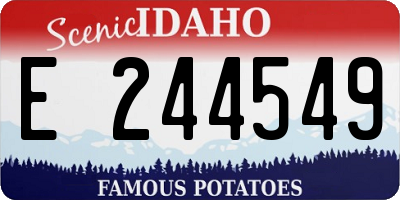 ID license plate E244549