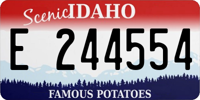 ID license plate E244554
