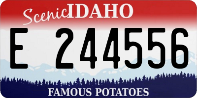 ID license plate E244556