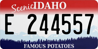 ID license plate E244557