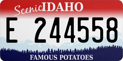 ID license plate E244558