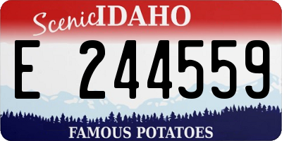 ID license plate E244559