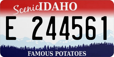 ID license plate E244561