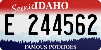 ID license plate E244562