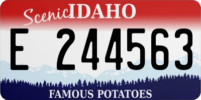 ID license plate E244563