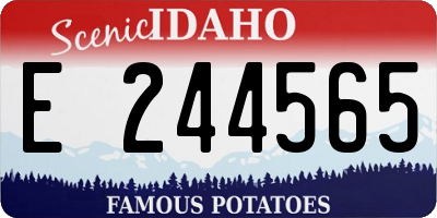 ID license plate E244565