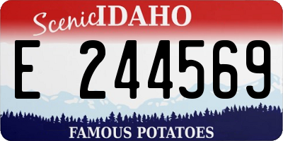 ID license plate E244569