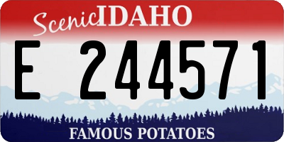 ID license plate E244571