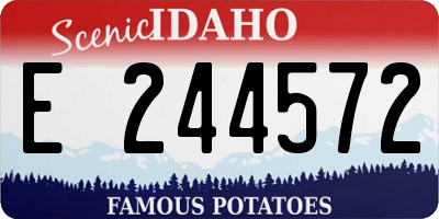 ID license plate E244572