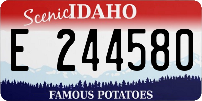 ID license plate E244580