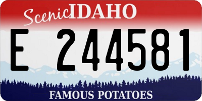ID license plate E244581