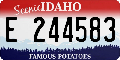 ID license plate E244583