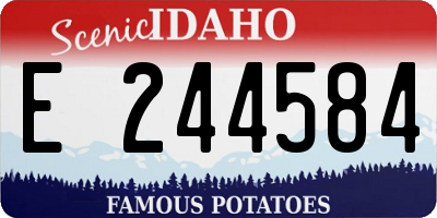 ID license plate E244584
