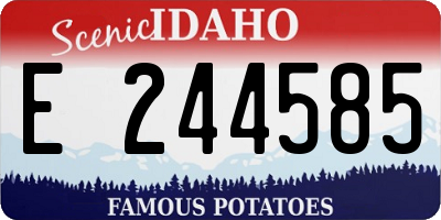 ID license plate E244585
