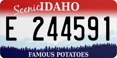 ID license plate E244591