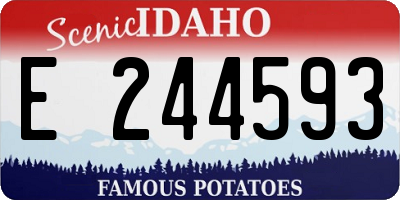 ID license plate E244593