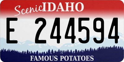 ID license plate E244594